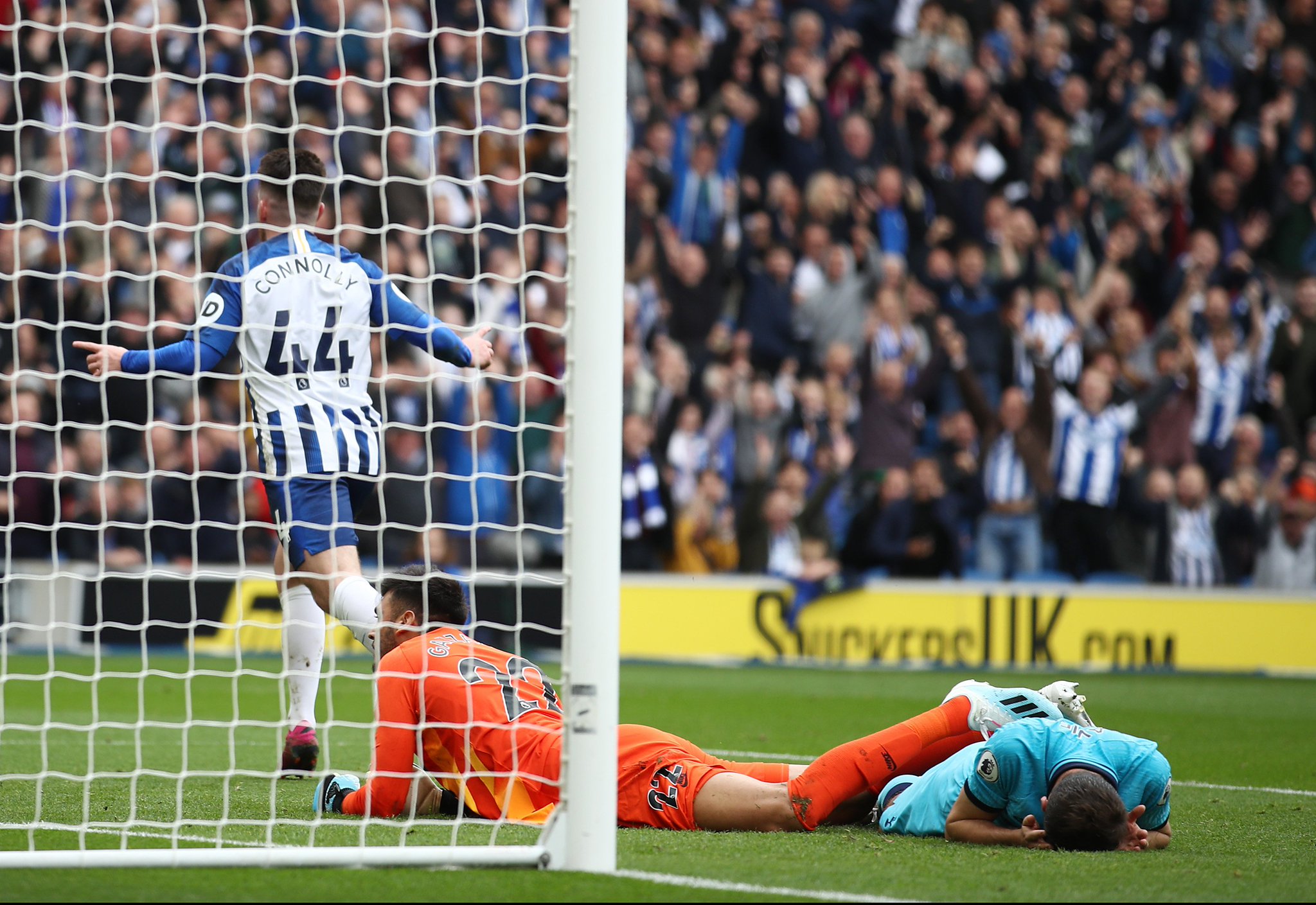 仅来自她的 仅来自她的