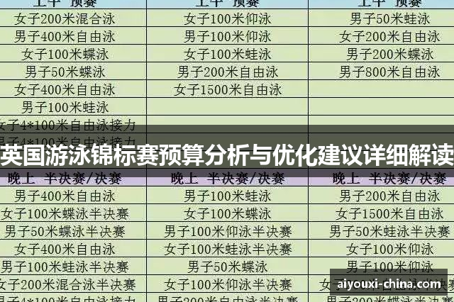 英国游泳锦标赛预算分析与优化建议详细解读