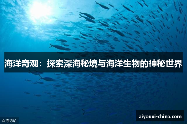 海洋奇观：探索深海秘境与海洋生物的神秘世界